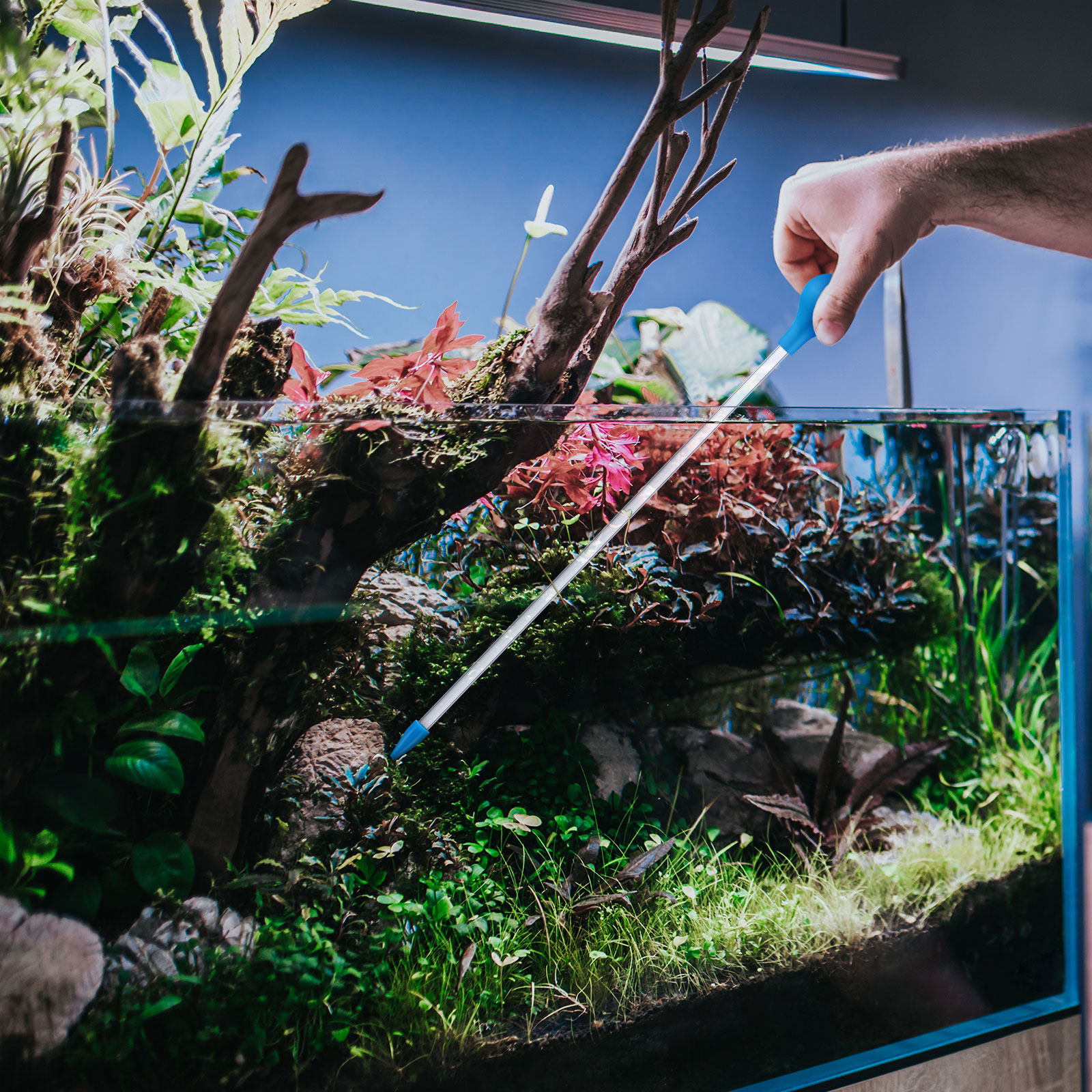 Coral Feeder Dispensing Feeding Tube Acrylic for Syringe Tool Liquid Fish Tank