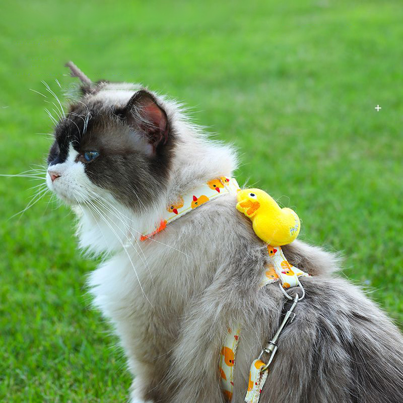 Cat Harness and Leash Set Adjustable Anti-Break Free Pet Harness Vest Style Kitten Leash Out Walking Cat Rope for Cats & Puppies