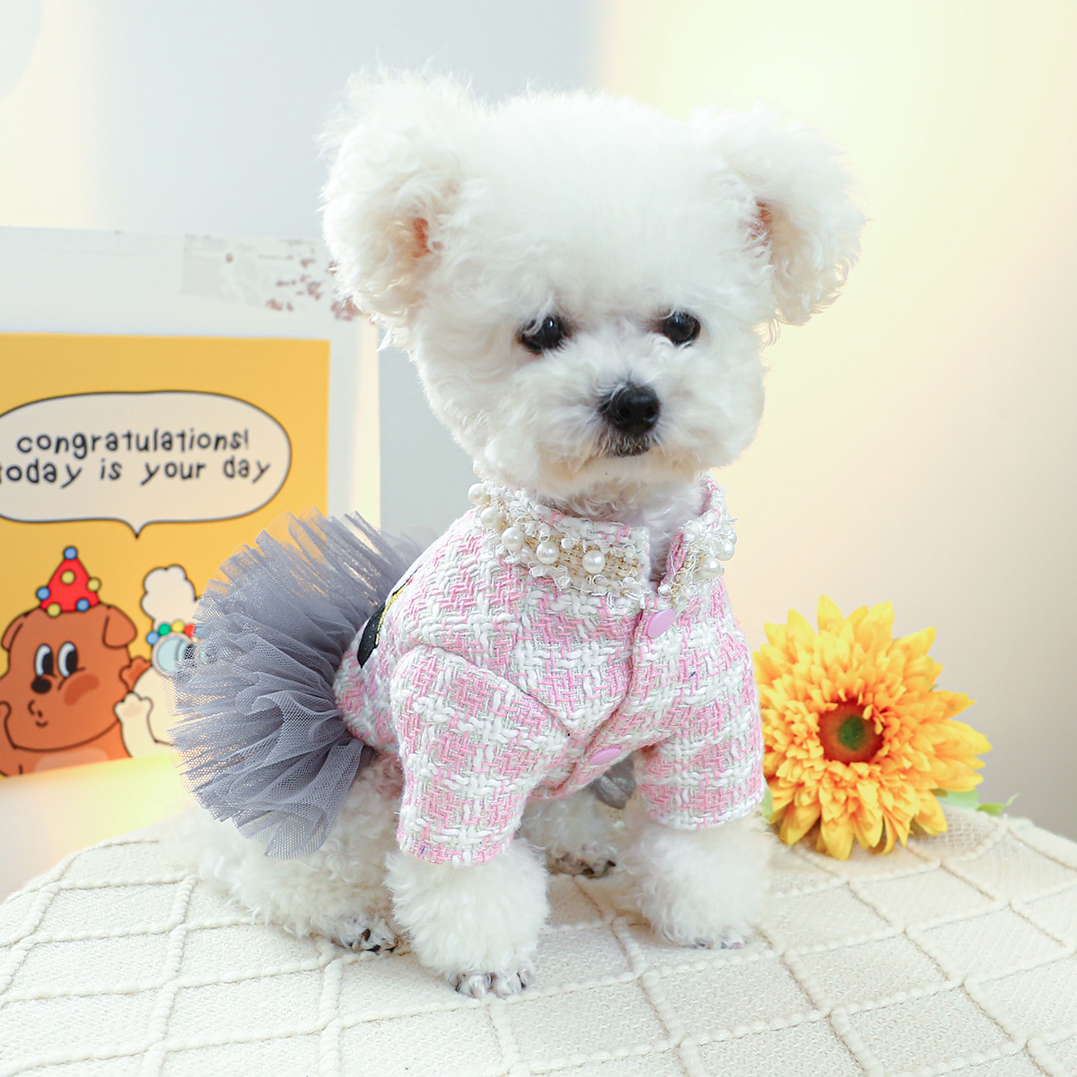 Luxury Dog Dresses For Princess Girl Winter Pet Clothes Pink Plaid Pearl Tulle Skirt Harness Coat Jacket Outfit XS XL Cat Goods