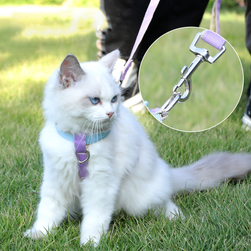 Travel Cat Harness and Leash-Adjustable Escape Proof Cat Harness & Leash for Cats Puppy-H-Style Cat Harness for Outdoor Walking