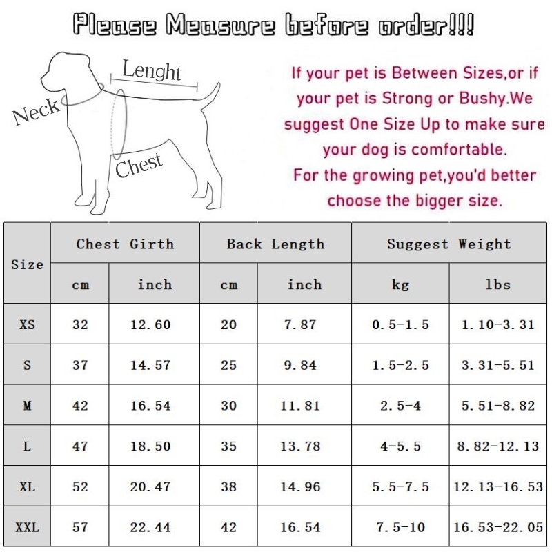 Girls Autumn Winter Clothes Pet Warm Coat Cat Skirt Chihuahua Bichon Puppy Dress and Shirt Set Dog Costume H260130
