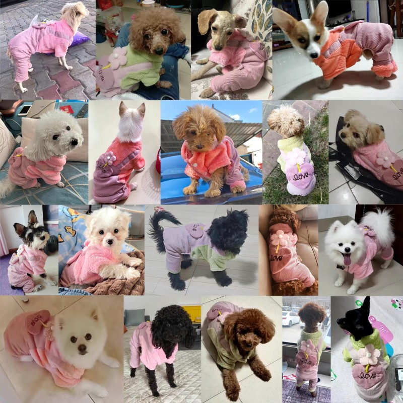 Winter Warm Dog Clothes Fashion Dog Jumpsuit Cute Print Puppy Pajamas Floral Cat Jumpsuits Pet Kitten Overalls Chihuahua Clothes