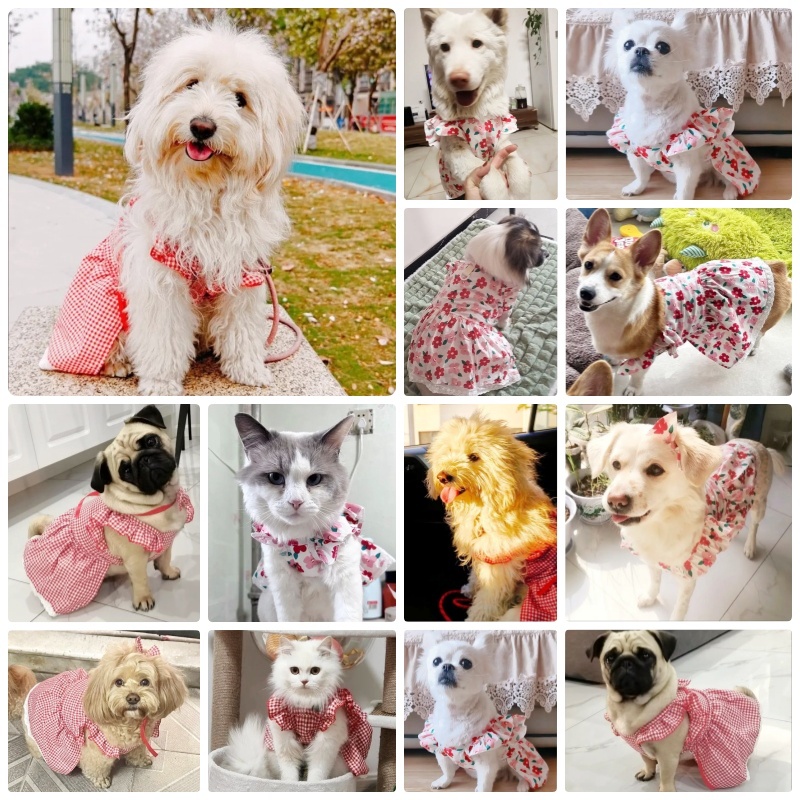 Clothes for Small Dogs Summer Fashion Print Puppy Princess Skirt Cute Flying Sleeve Cat Dress Pet Dog Costumes H260130