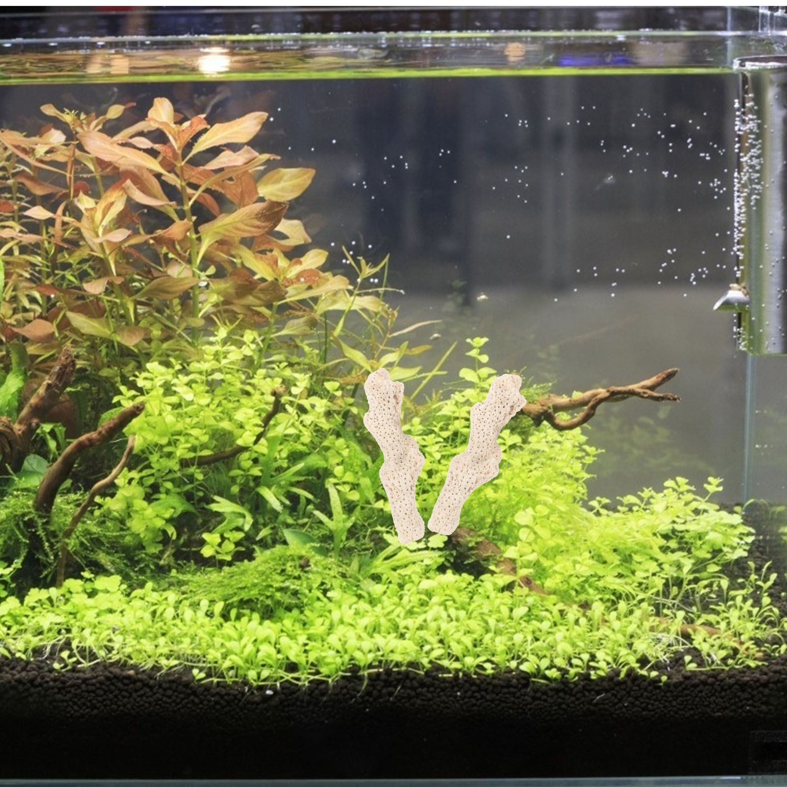 Fish Bowl Coral Bone Sand Filter Media For Aquarium Supply Tank Outdoor Accessories