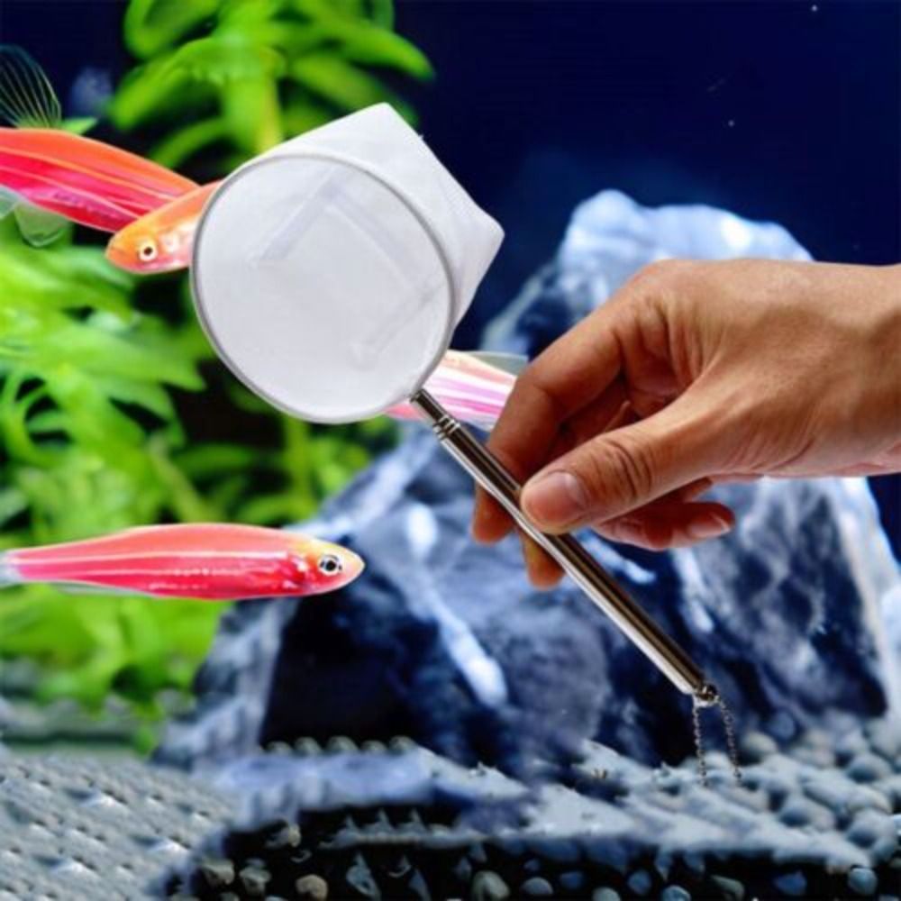 Long Handle Goldfish Net Telescopic Shrimp Net Fish Tank Fish Nets Food Residue Debris Soft Aquarium Shrimp Net