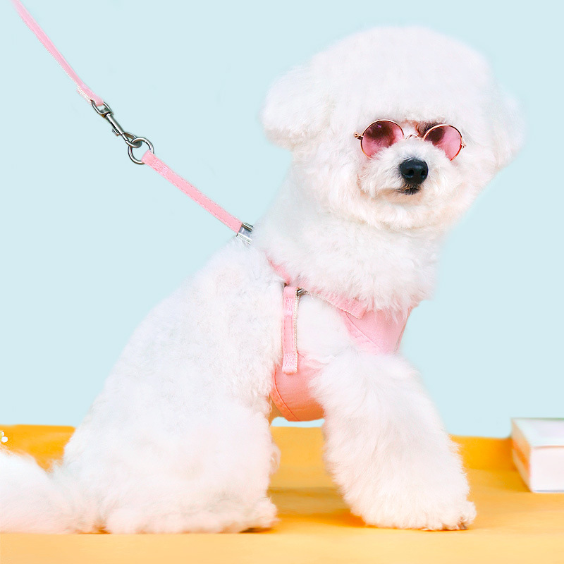 Vest-style Cat Harness and Leash Set with Storage Bag,adjustable Pet Harness To Prevent Breakaway for Cats and Small Medium Dogs