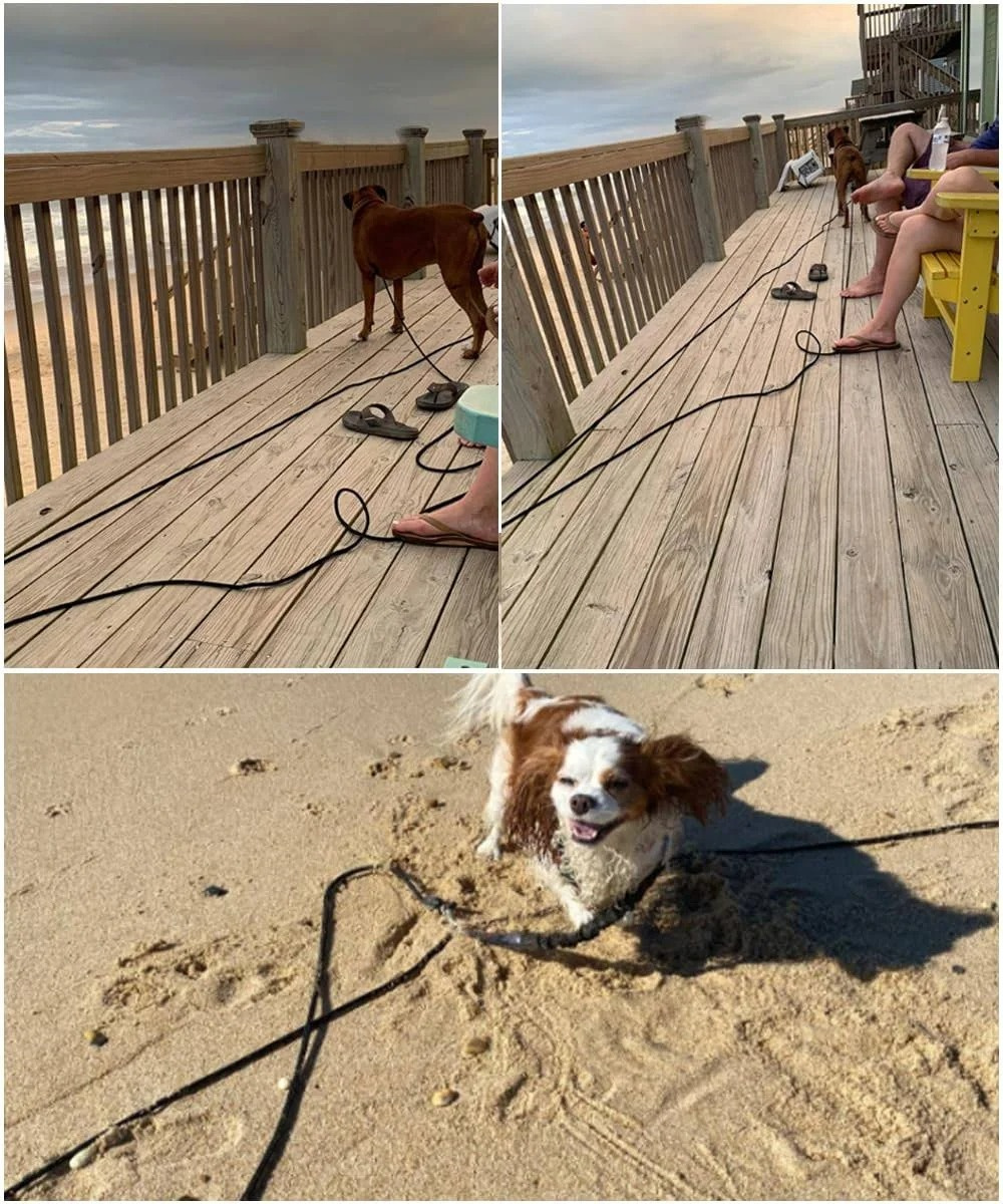 15FT/30FT/50FT Long Rope Training Dog Leash Heavy Duty Nylon Recall Pet Tracking Line for Small Medium Dog Pet Outside 5M/10M/15