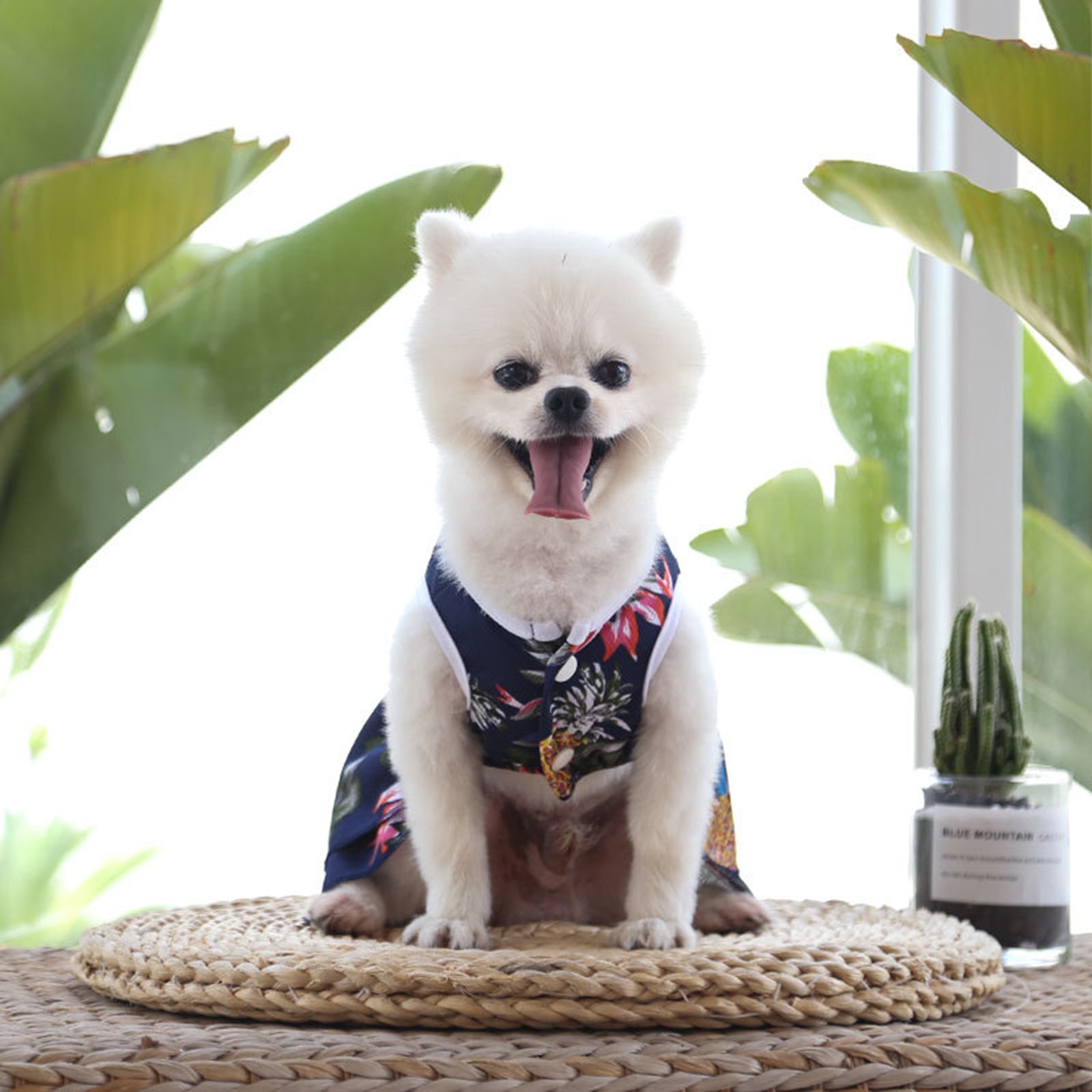 Pet Dog Summer Clothes Skirt Printing Cute Pet Puppy Vest Clothing Shirt Pet Accessories Cat Dresses Accesorios Mascotas