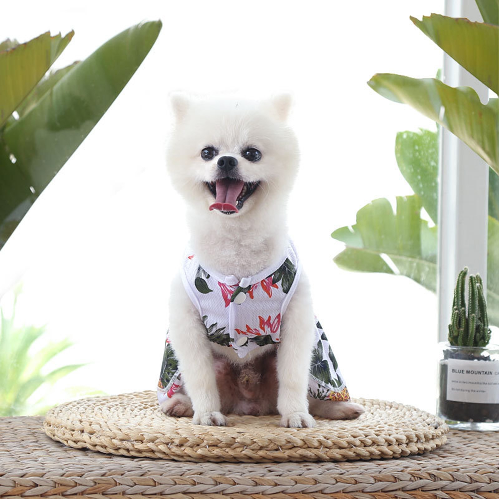 Pet Dog Summer Clothes Skirt Printing Cute Pet Puppy Vest Clothing Shirt Pet Accessories Cat Dresses Accesorios Mascotas