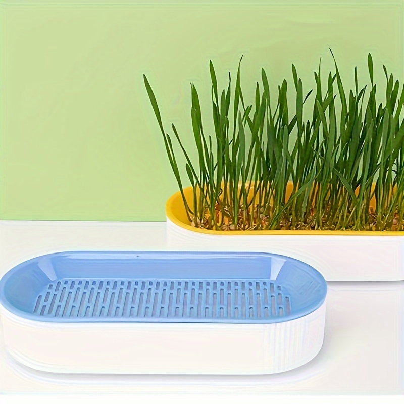 3-Piece Hydroponic Cat Grass Planters - Soil-Free, Easy-To-Grow Treat Dispenser Set For Cats