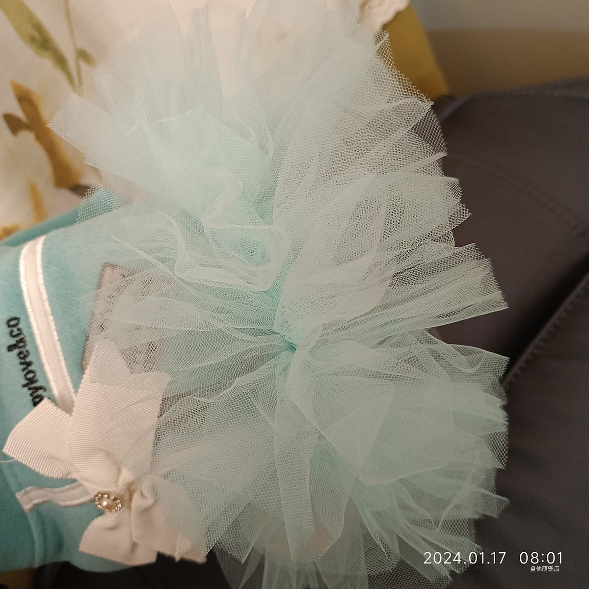 1PC Pet clothing Autumn Winter Thick Lake Blue ribbon white bow Princess dress suitable for small and medium-sized dogs