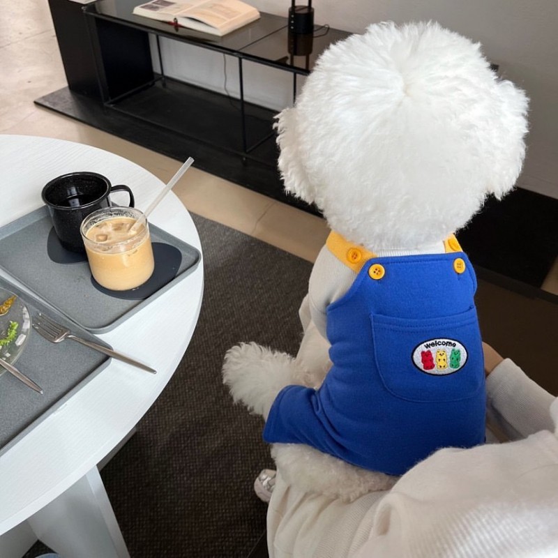 Summer Dog Jumpsuit Puppy Clothes 2025 Cute Pet Rompers Color Block Casual Dog Pants Bichon Pug Chihuahua Suspenders Dog Coat