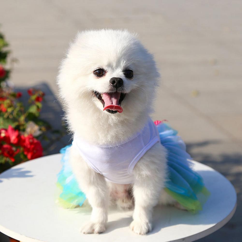 Stylish Dog Dress 6 Sizes Comfortable Touch Pet Dress Eco-friendly Soft Pet Dress for Party