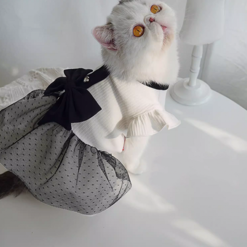 Dog Princess Dress Summer Dog Clothes for Small Dogs Pet T-Shirt Black Lace Retro Puppy Skirt Chihuahua Bichon Girls Dog Costume