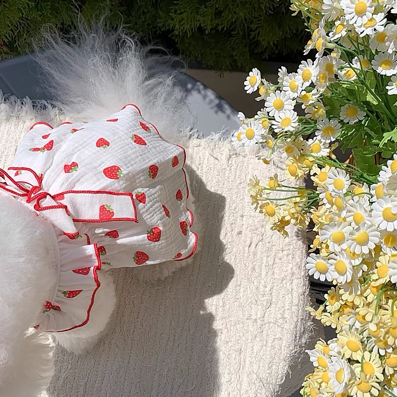 Summer Clothes for Dogs Strawberry Print Dog Dress Fashion Suspenders Dress Chihuahua Bichon Yorkie Puppy Skirt Girls Dog Outfit