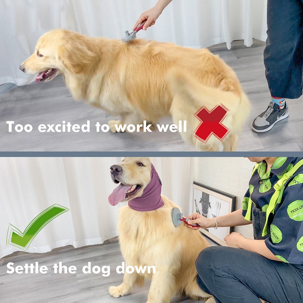 The Original Calming Band for Dogs Cats for Anxiety Relief Noise Canceling for Firework Thunderstorm Pet Grooming & Force drying