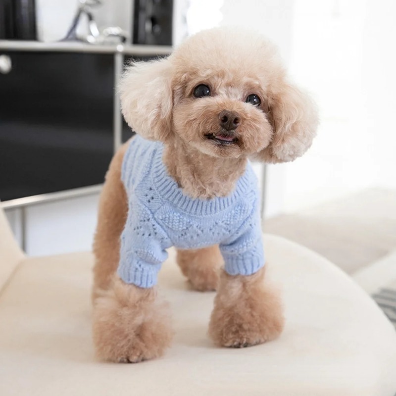Sweet Autumn Winter Pet Knitted Cardigan Soft Cute Arctic Fleece Dog Sweater Cardigan Dog Clothes Skirt Puppy Clothing Dog Coat