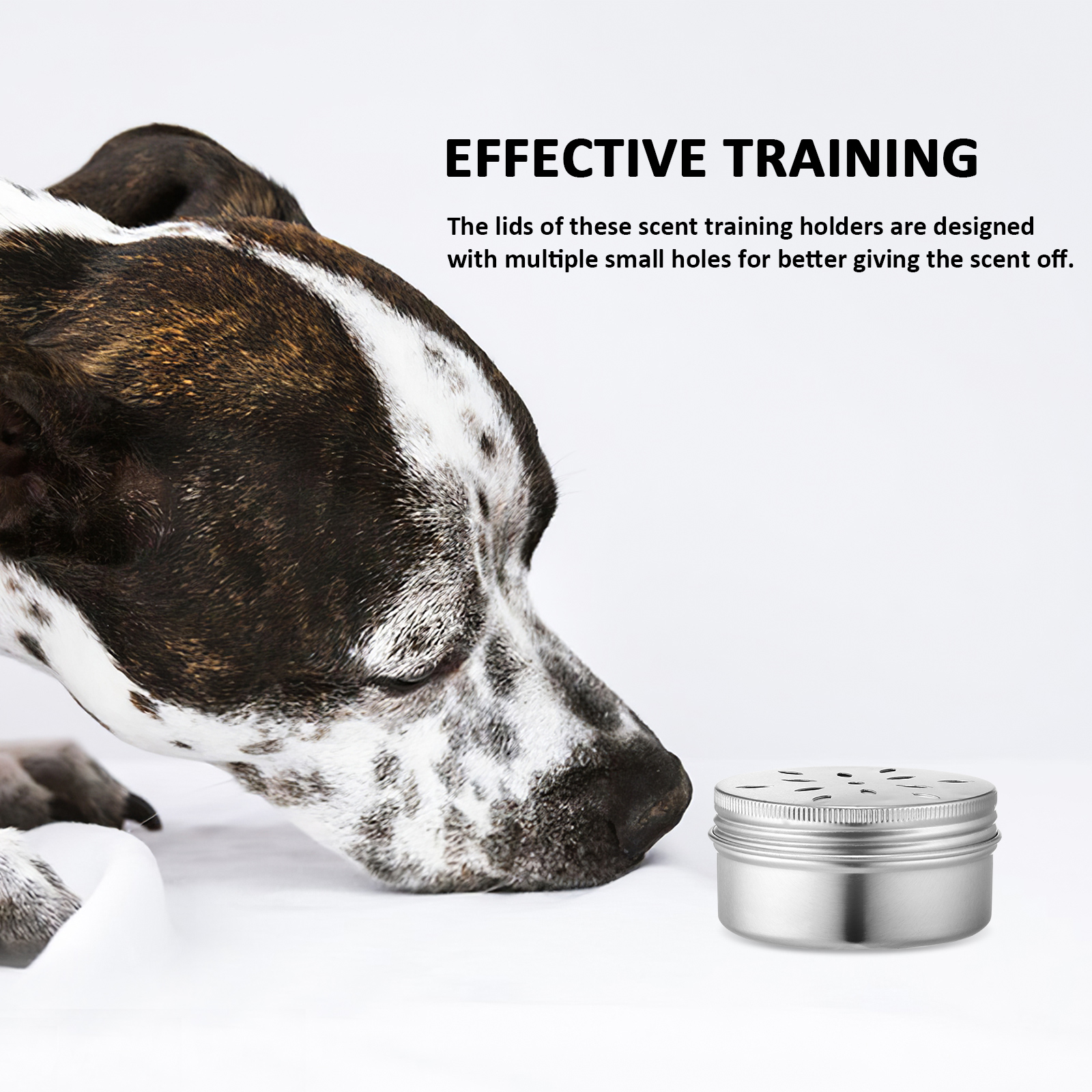 Tools Dog Training + Soft Magnetic Adhesive Nose Holder Container Metal Tins with Lids Agility Kit Work