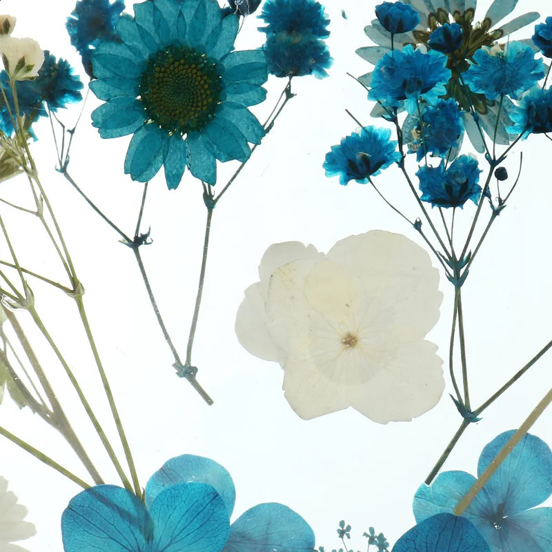 Home>Products> Acrylic Luggage>Clutch Bag with Chain Lace 240910