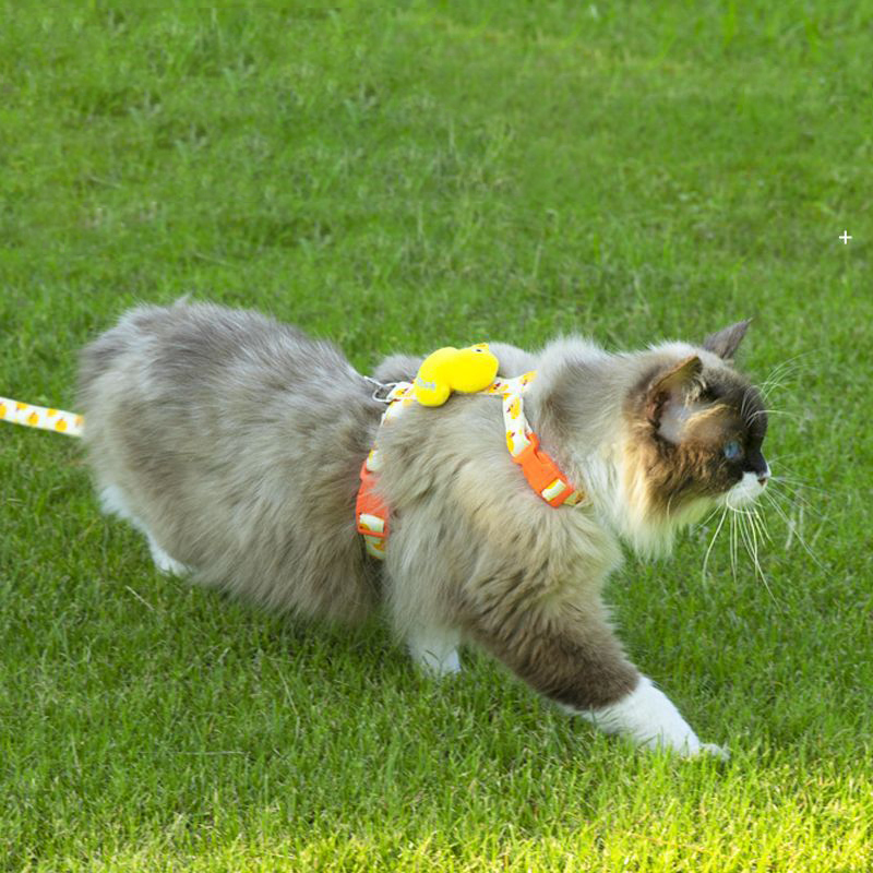 Cat Harness and Leash Set Adjustable Anti-Break Free Pet Harness Vest Style Kitten Leash Out Walking Cat Rope for Cats & Puppies