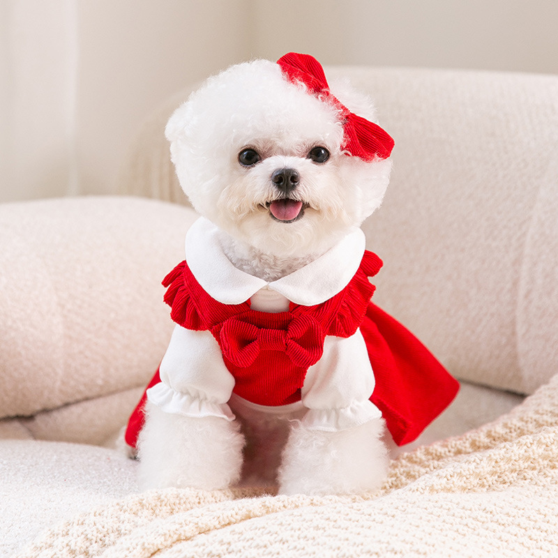 Girls Autumn Winter Clothes Pet Warm Coat Cat Skirt Chihuahua Bichon Puppy Dress and Shirt Set Dog Costume H260130