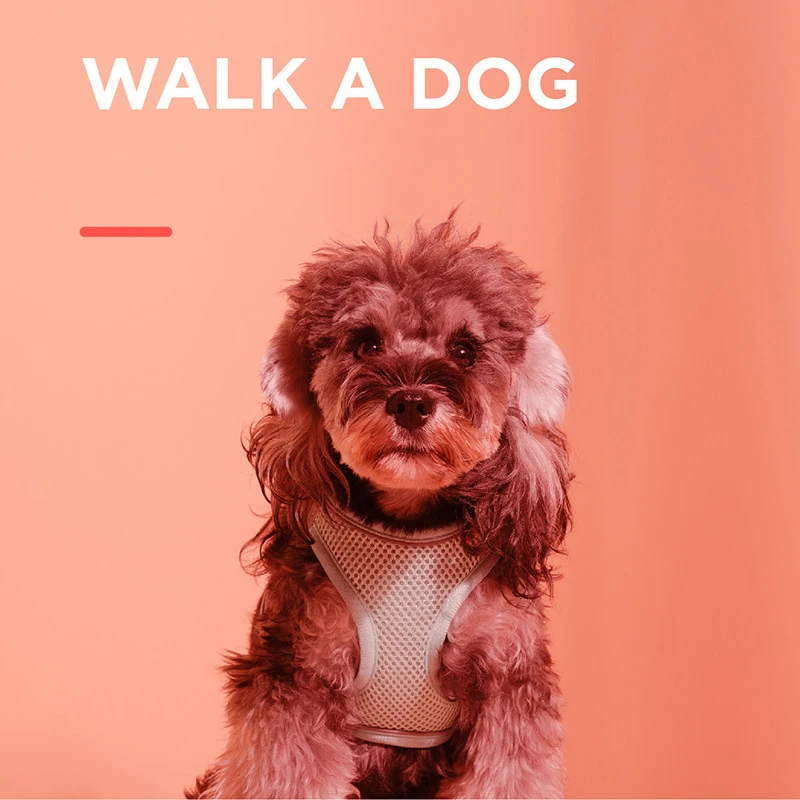 Reflective Vest-style Cat Harness and Leash Set Dog Walking Leash To Prevent Break Free Suitable for Small To Medium Dogs & Cats