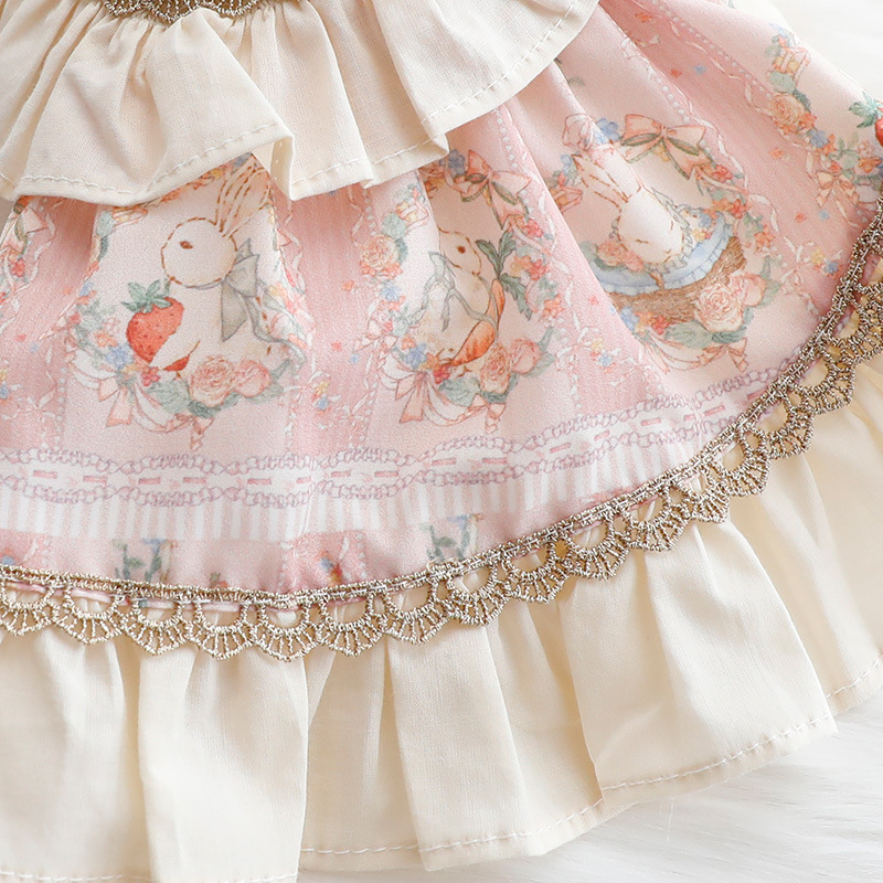 Dog clothes spring summer cat princess dress luxury lolita dress for rabbit small dog pet