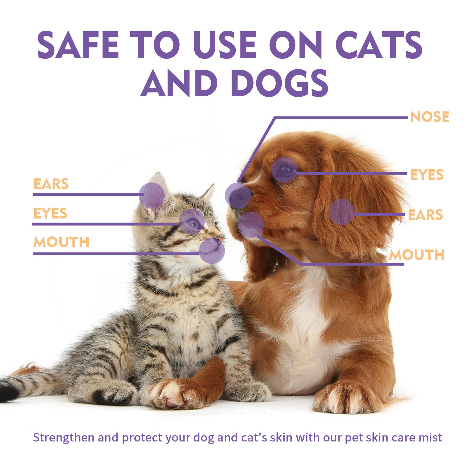 2024 New Pet Relieving Skin Spray Relieving Dog And Cat Skin Itching Removing Mites Relieving Itching Cleaning 60ml