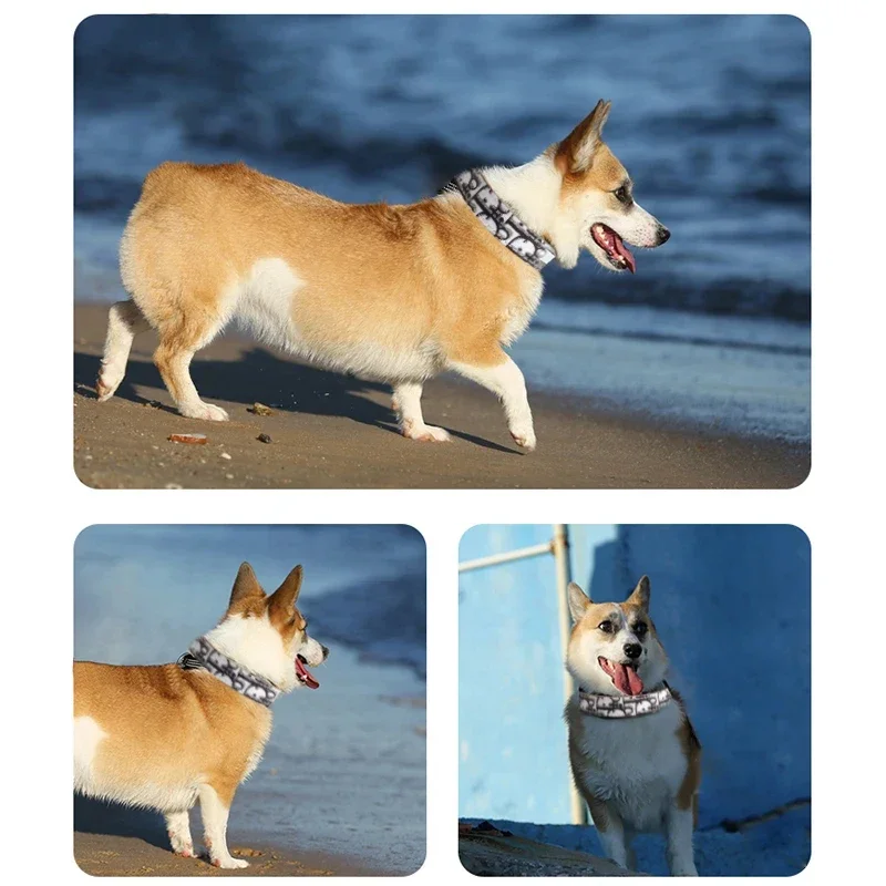 Fashion Pet Necklace Collar PU Metal Buckle Cat Collars Outdoor Training Pets Supplies for Small and Medium-Sized Dogs