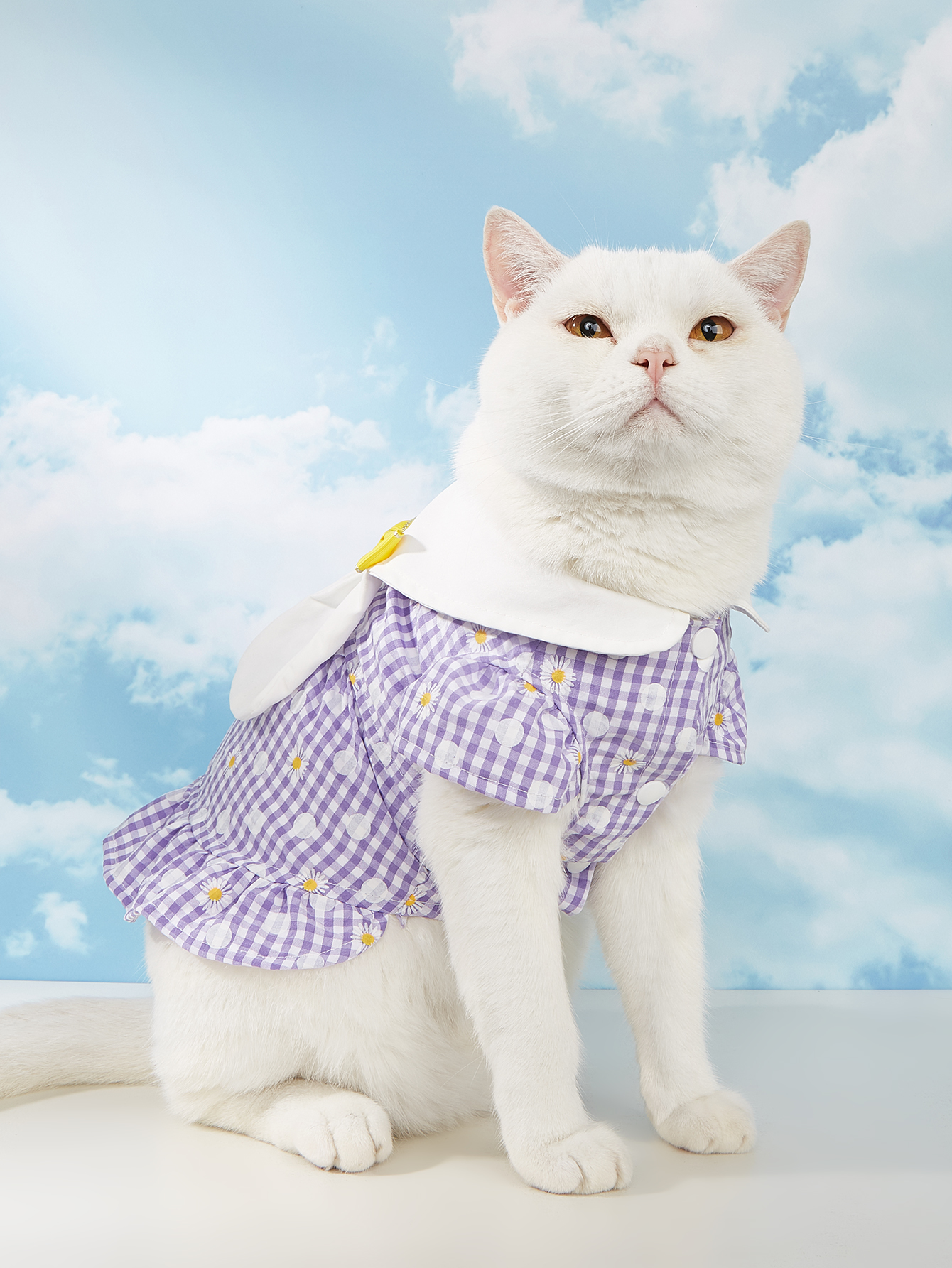 Rabbit Design Spring Summer Pet Clothes Dog Kitty Dress wiht Lovly Ear Shape