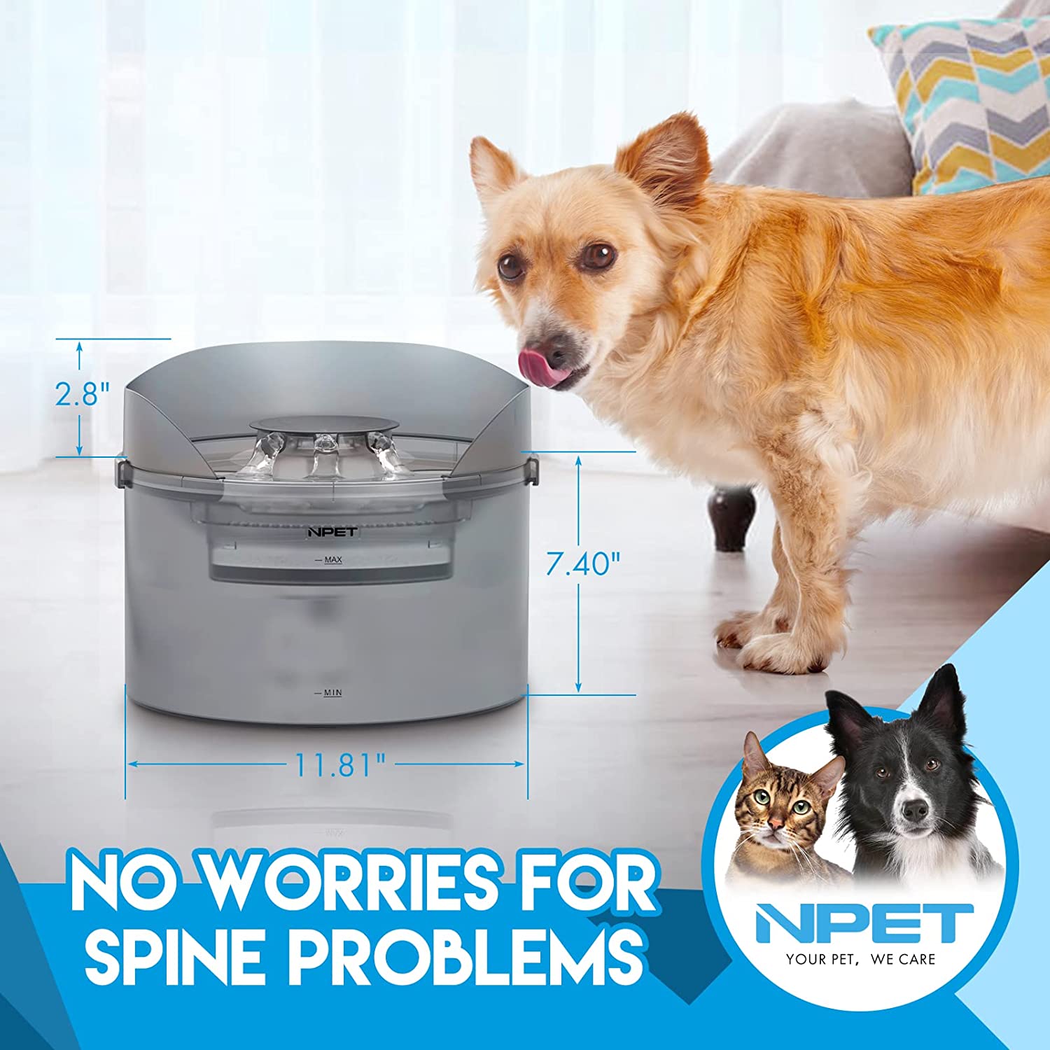 NPET Large Capacity 8L Pet Water Fountain for Dog Automatic Water Feeder with Splash Guard