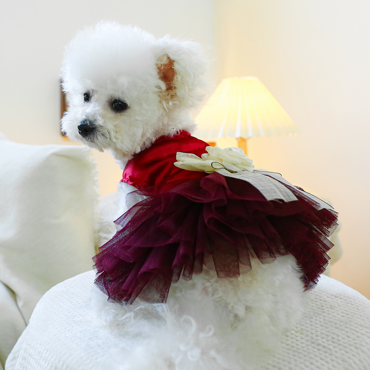 1PC Pet Clothing Cat Vest Red Bow Wedding Dress Princess Dress with Traction Buckle Suitable for Small and Medium Dogs