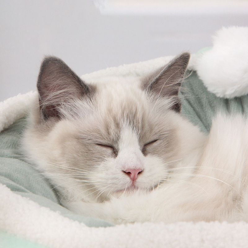 Pet Cat & Dog Short Plush Hammock Round Home Cushion Warm Basket Nest Kennel for Cat's House