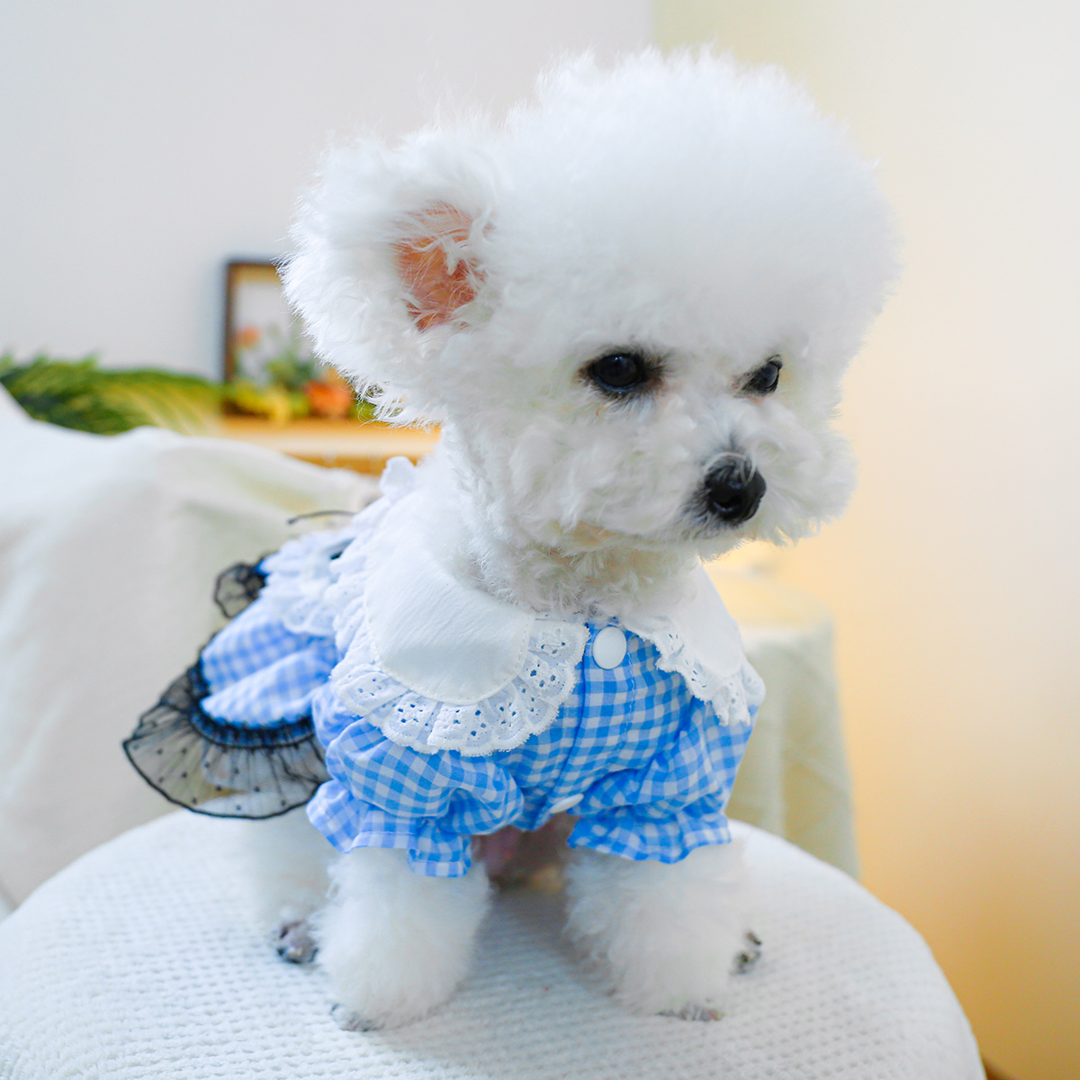 1PC Pet Clothing Cat Spring/Summer Blue Lolita Strap Princess Dress Traction Buckle Suitable for Small and Medium sized Dogs
