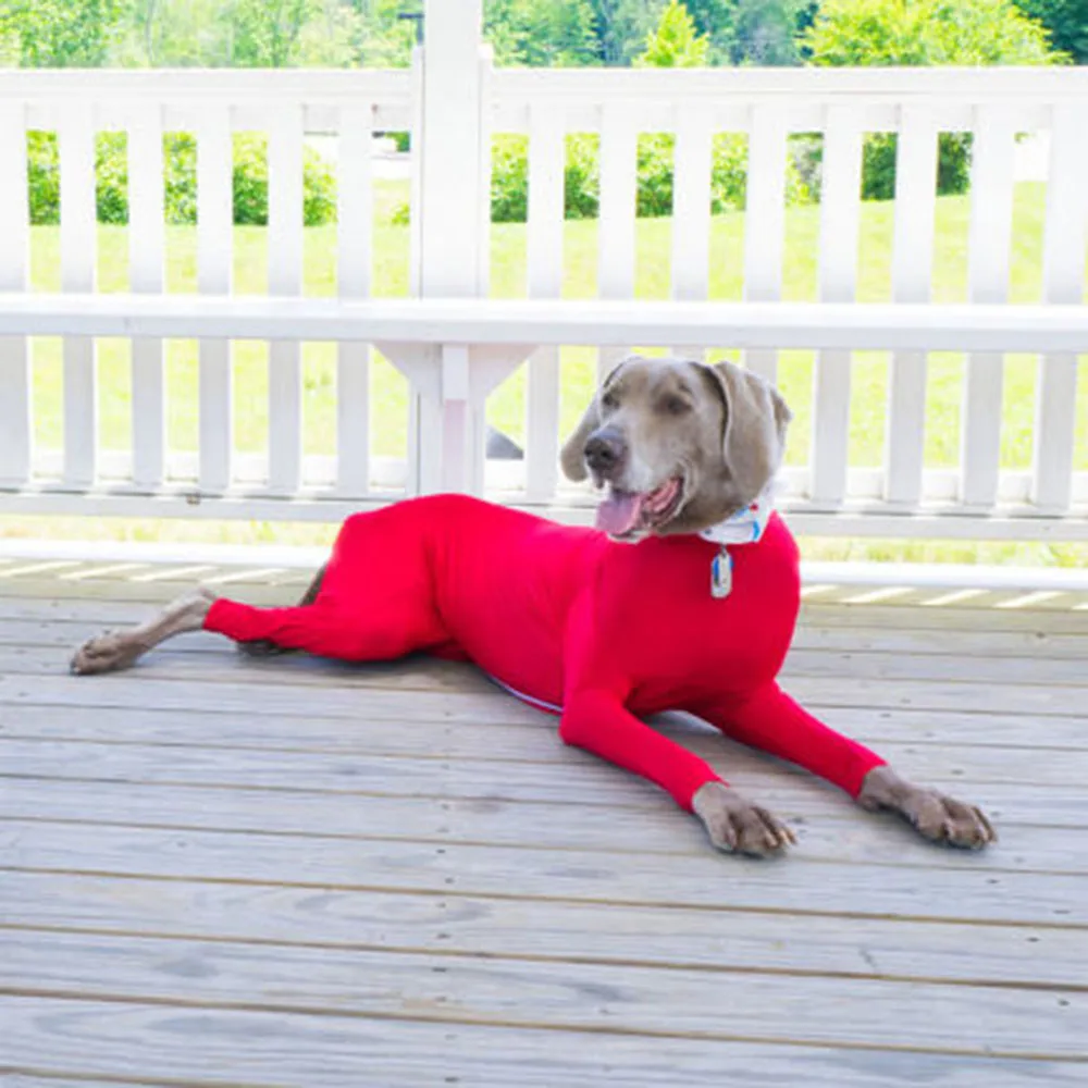 Dog Onesie for After Surgery Pet Surgical Recovery Suit Anti Shedding Bodysuit Long Sleeve Claming Pajamas with Legs for Dogs