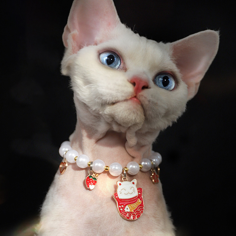 Cat Collar Necklace,Cute Pet Jewelry Collar with Bow and Trinket Pendant for Kittens & Puppies Cat Supplies Kitten Accessories