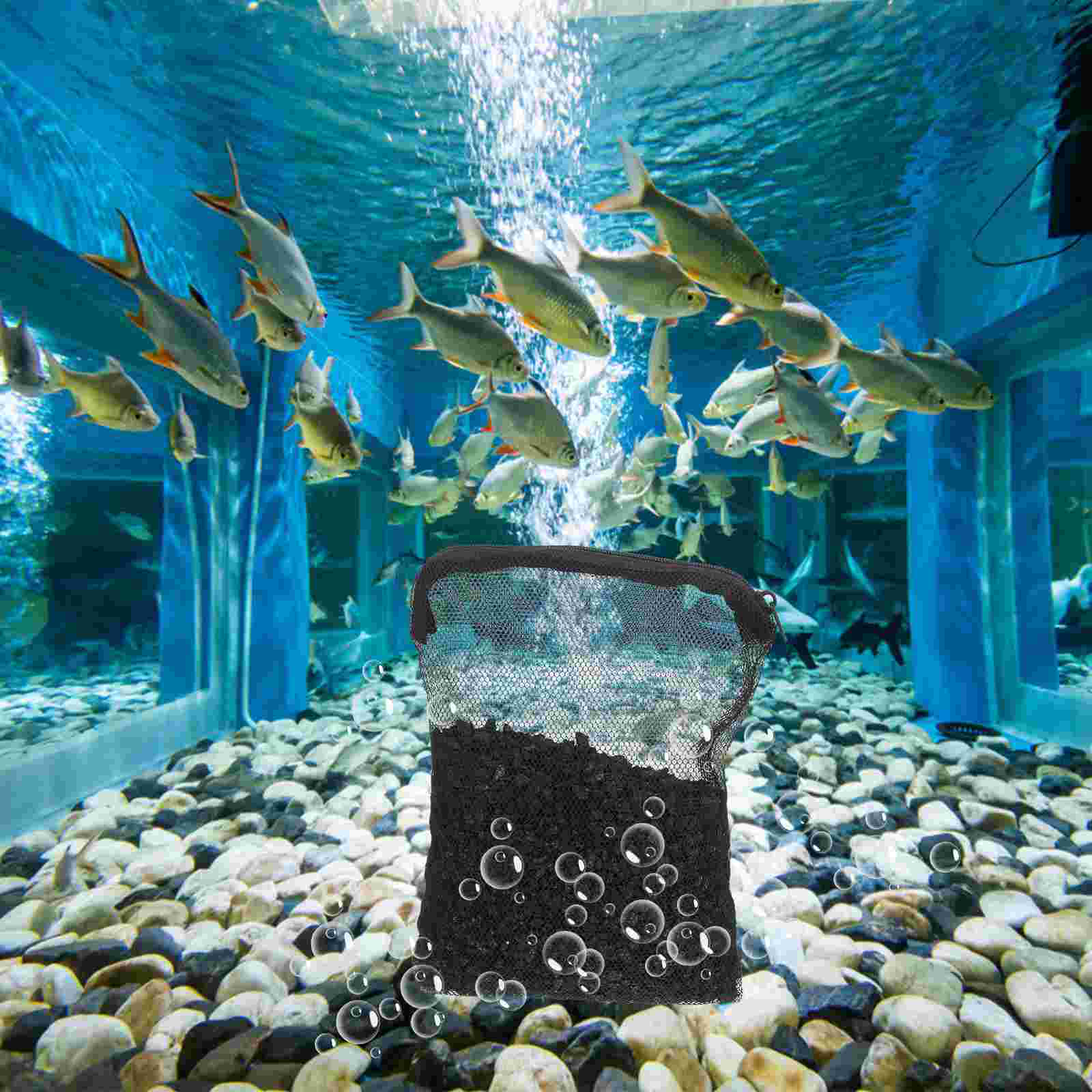 Filtered Coconut Shell Charcoal Material Fish Tank Tool Terrarium Kit Turtle Carbon for Aquarium