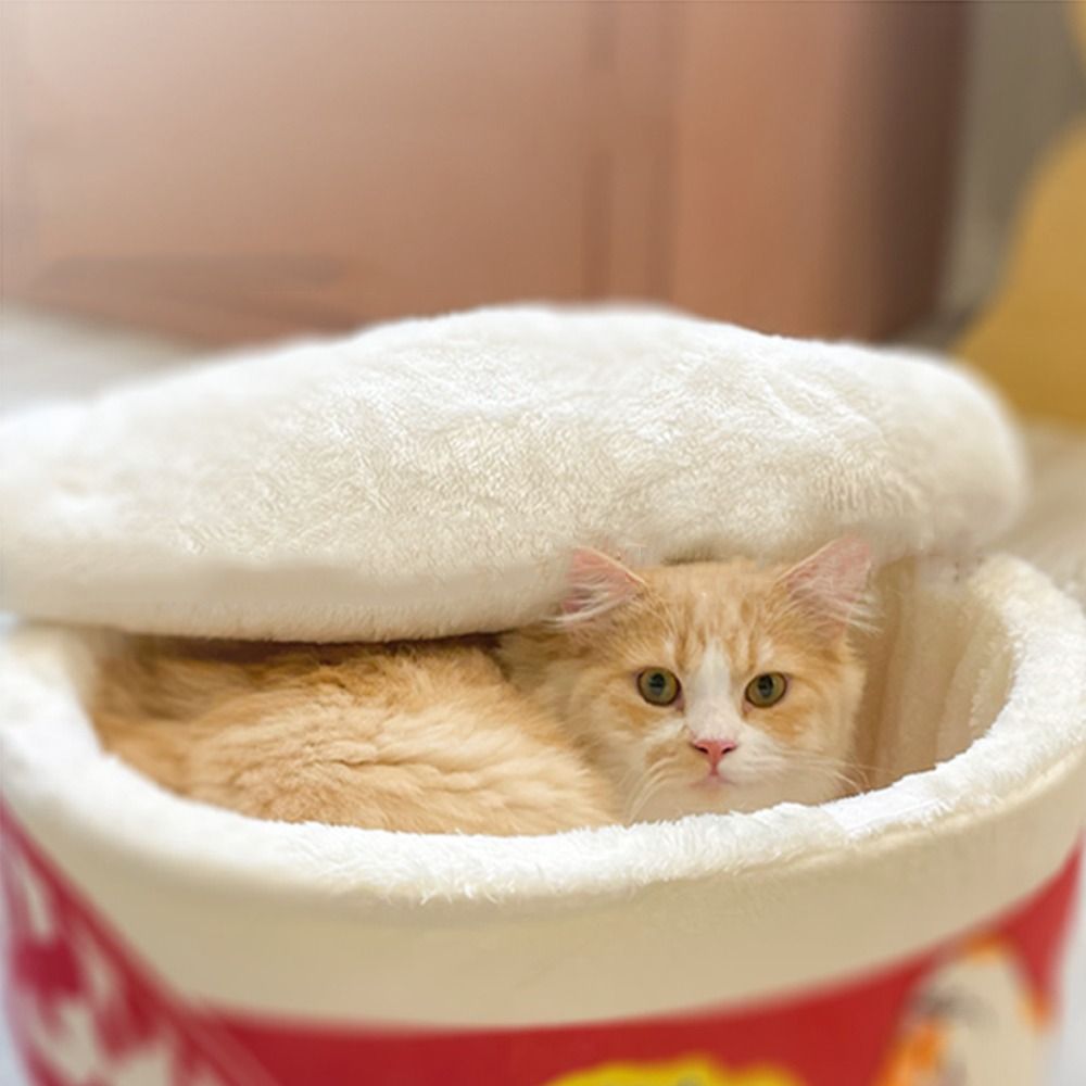 Creative Circular Warm Cat Nest Cute Pet Bed Instant Noodle Shape Pet House Kennel Cushion Dog Cat Nest Beds