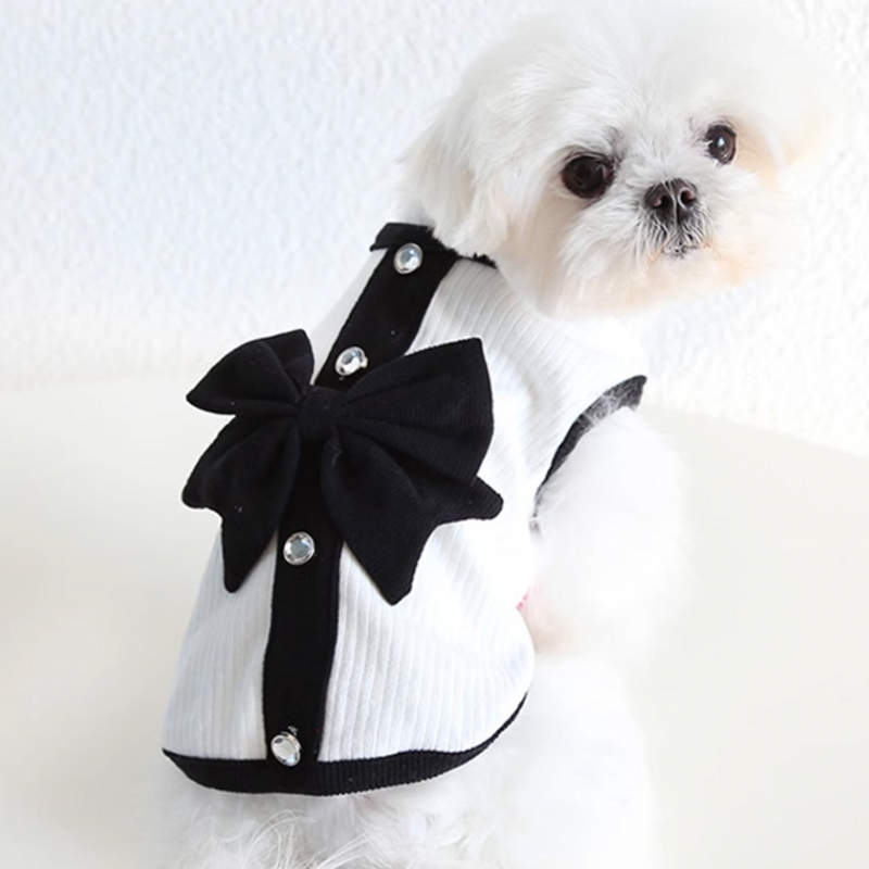 Dog Princess Dress Summer Dog Clothes for Small Dogs Pet T-Shirt Black Lace Retro Puppy Skirt Chihuahua Bichon Girls Dog Costume