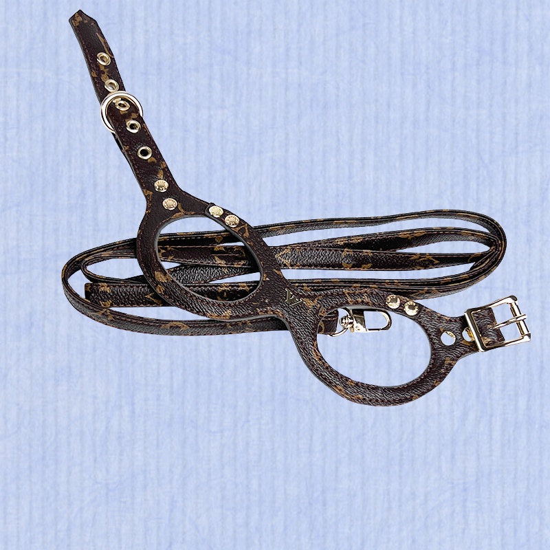 Dog Harness and Leash Set: Premium Leather, Summer Vest Style, for Small Dogs like French Bulldogs, Corgis & Teddy