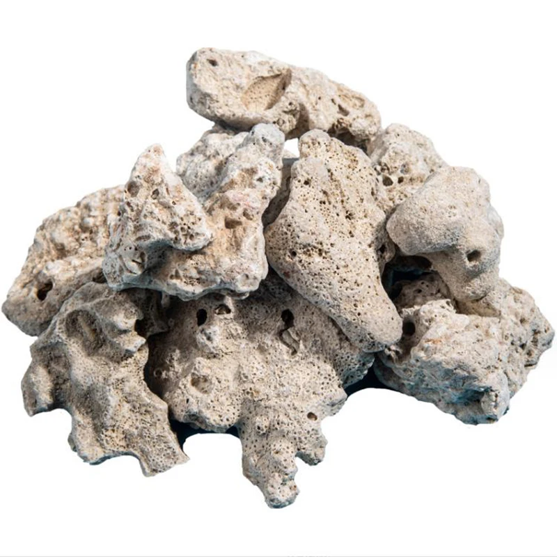 Big Size Aquarium Filter Media Natural Coral Bone Biological Filter with Free Filter Mesh Bag for Fish Tank Aquarium Accessories