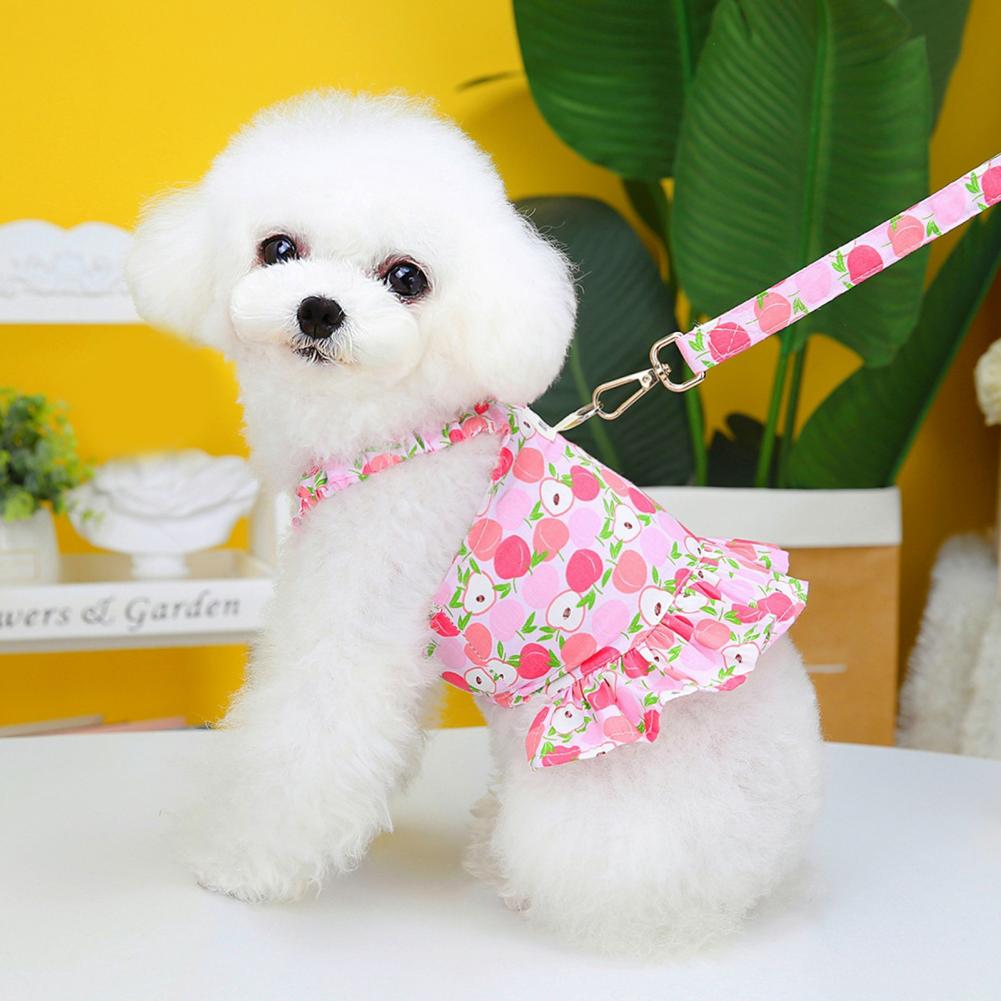 Pet Skirt Fruit Pattern Harness Design Soft Texture Comfortable Wear Lightweight Dress Up Breathable Dog Collar Traction Rope H260129