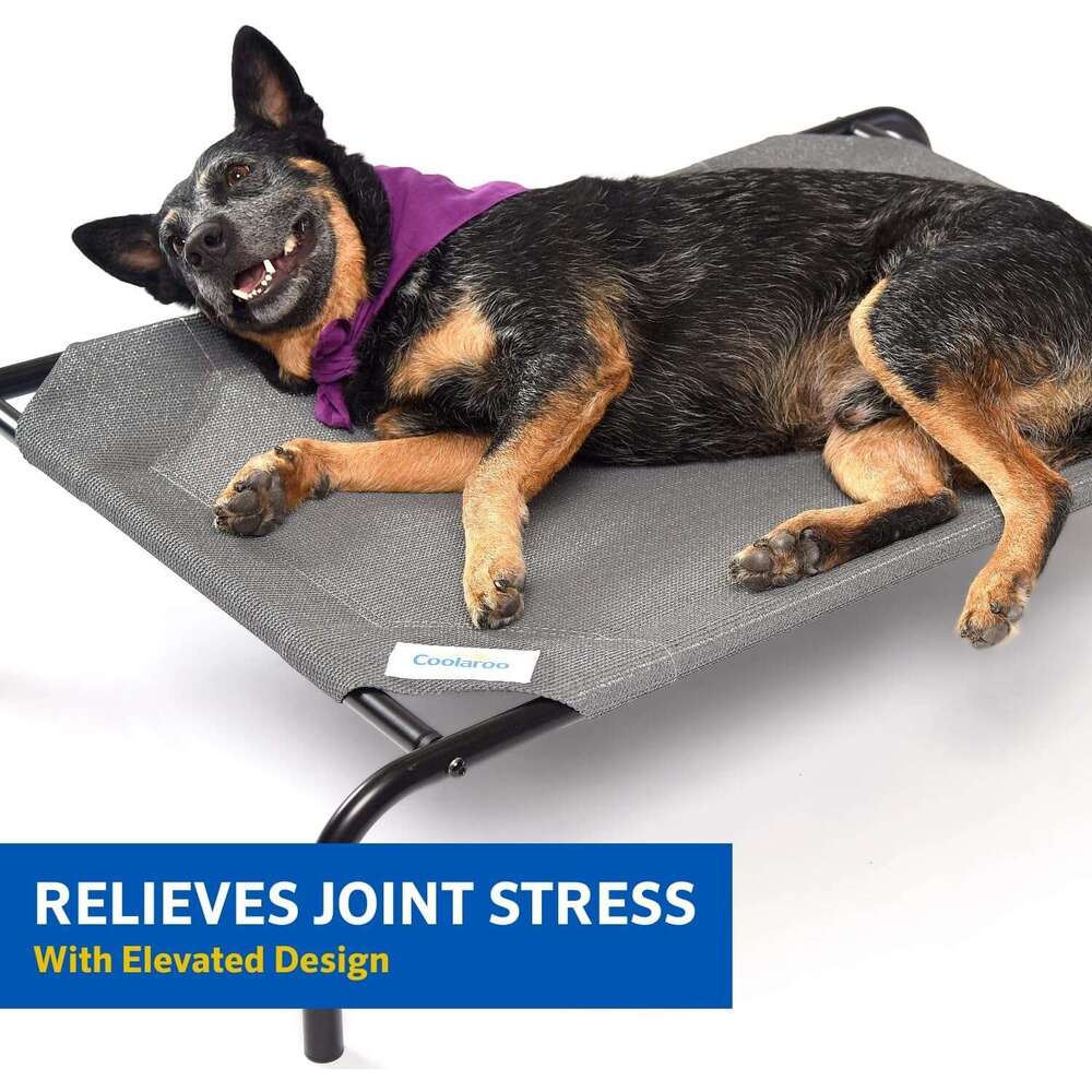 Elevated pet bed Small Calming Dogs Bed for Small Dogs Anti-Anxiety Machine Washable Fluffy Luxury Anti Slip Waterproof Mute Base Warming Cozy Soft Pe