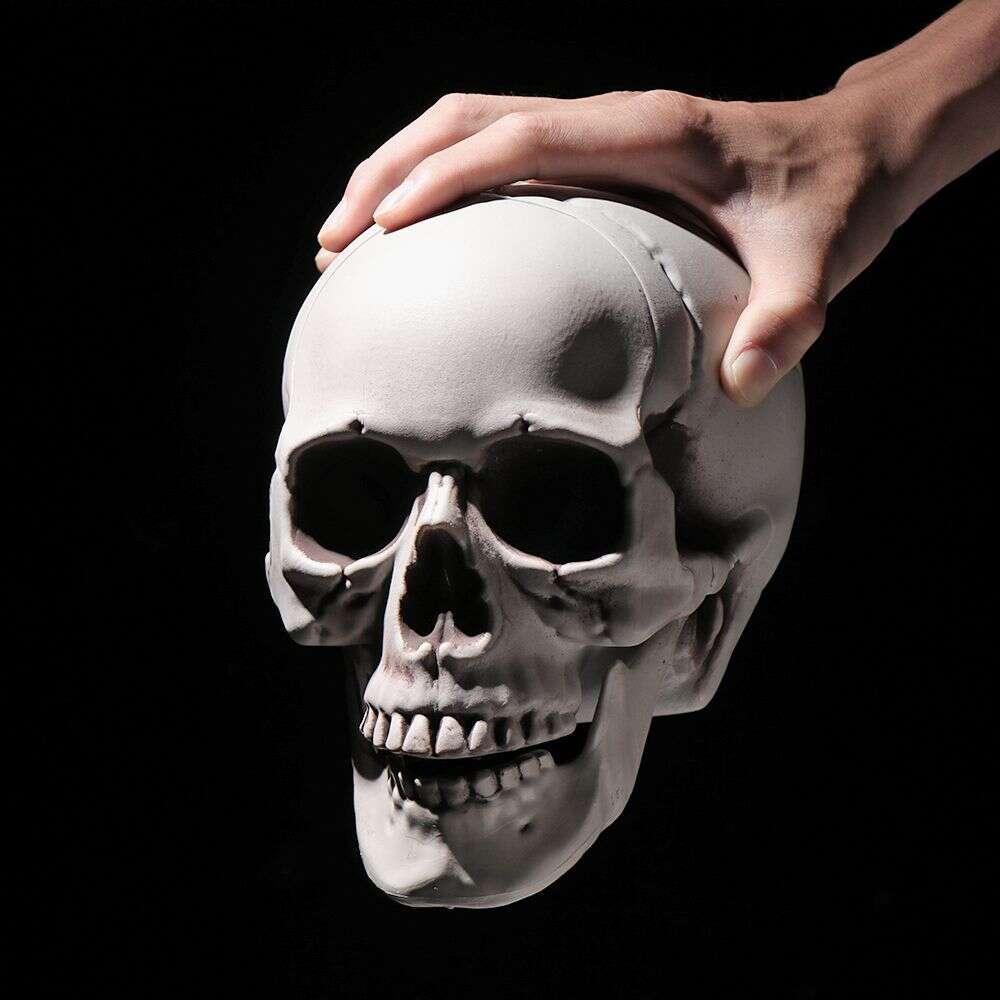 Halloween All Size Human Head Skeleton Hanging Skull Style Photo Prop Home Festival Event Party Decoration Game Supplies