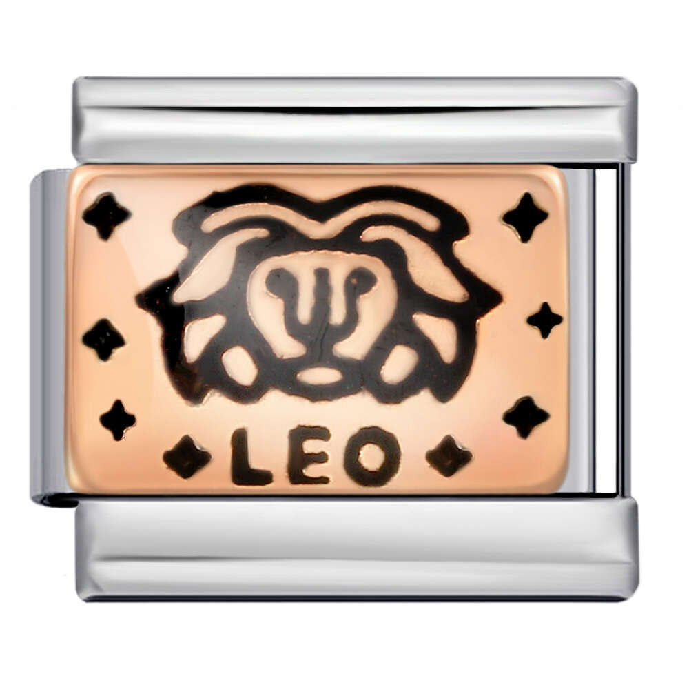 12 Constellation Stainless Steel Gold Plated Enamel Pattern DIY Bracelet Accessories Italian Charm Links Stainless Steel Fit 9mm Bracelet Jewelry DIY 