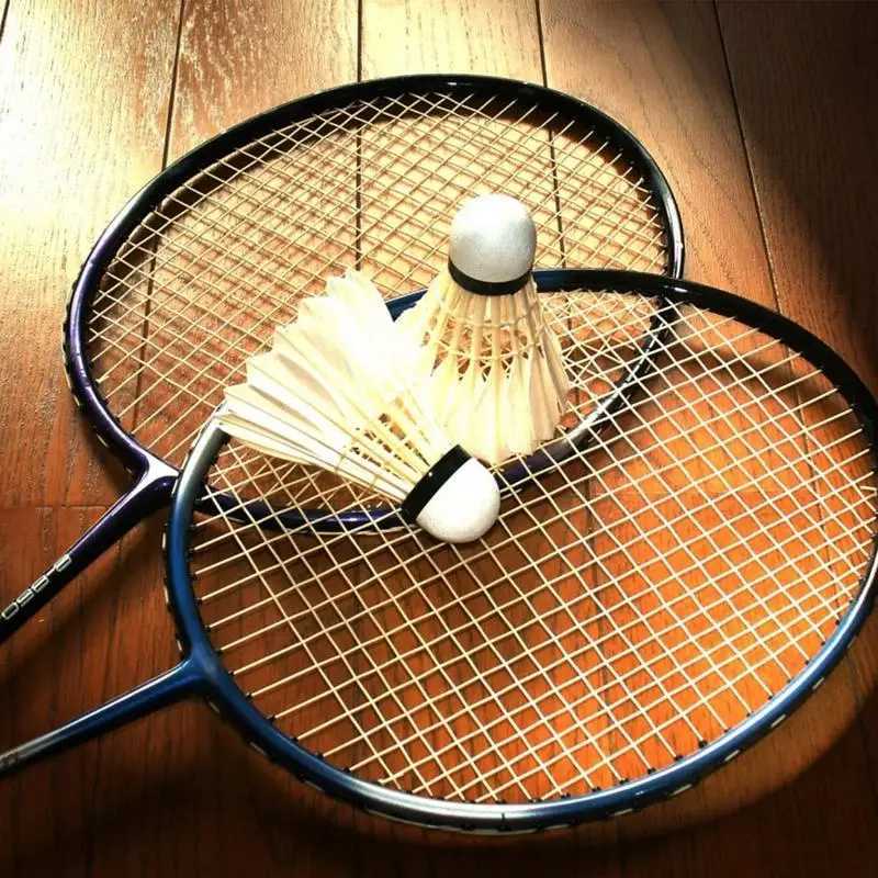 High quality Badminton Shuttlecocks Duck Feather Hard Head Shuttle Balls High Elastic Stable Waterproof Badminton Shuttlecocks Y240912