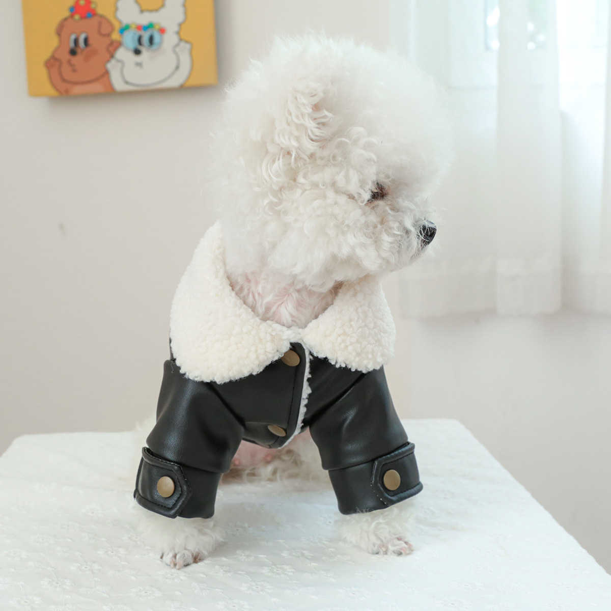 1PC pet clothing for cats in autumn and winter, with thick and warm black fur coat, suitable for small and medium-sized dogs