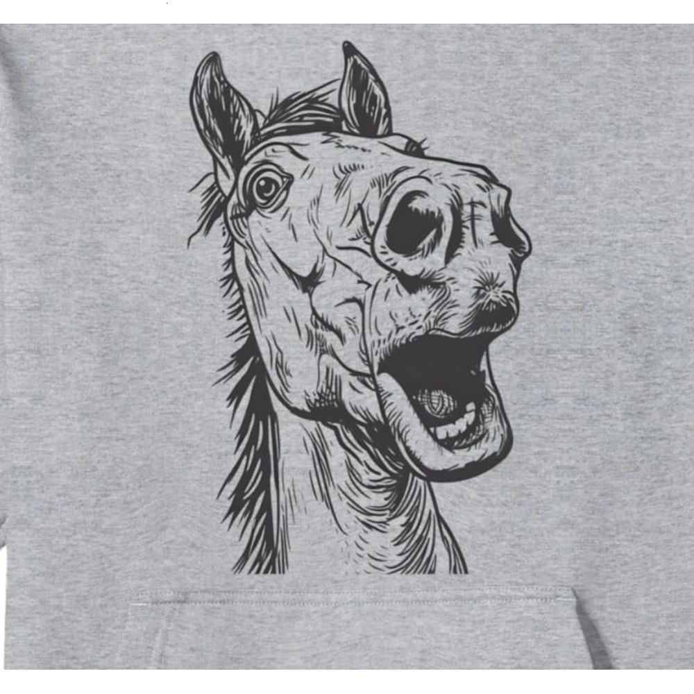 Hoodie for Mens Womens Horse Lover Funny Horseback Riding Horse Whisperer Gift Pullover Hoodie Graphic Hoodies sweatshirt Pullover Long Sleeve