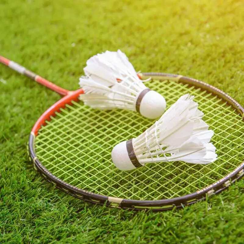 12Pcs Badminton Shuttlecock White Duck Feather Flying Stability Durable Shuttlecock Ball Feather Shuttlecock Indoor Outdoor Game Y240912