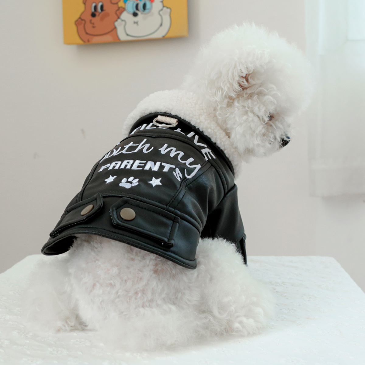 1PC pet clothing for cats in autumn and winter, with thick and warm black fur coat, suitable for small and medium-sized dogs